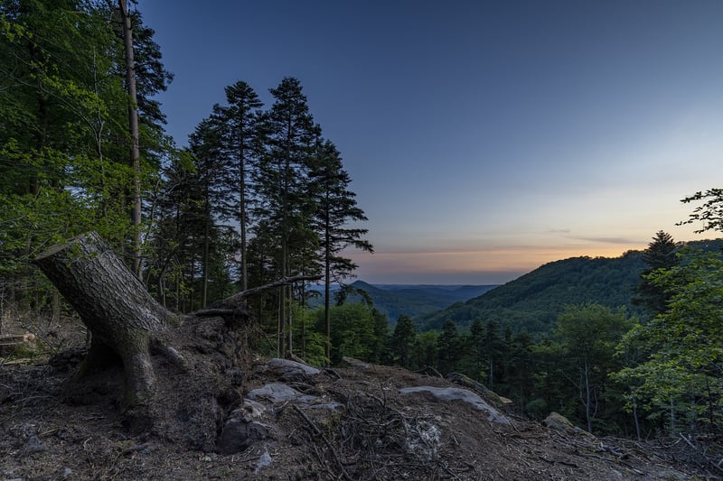Sunrise Hike