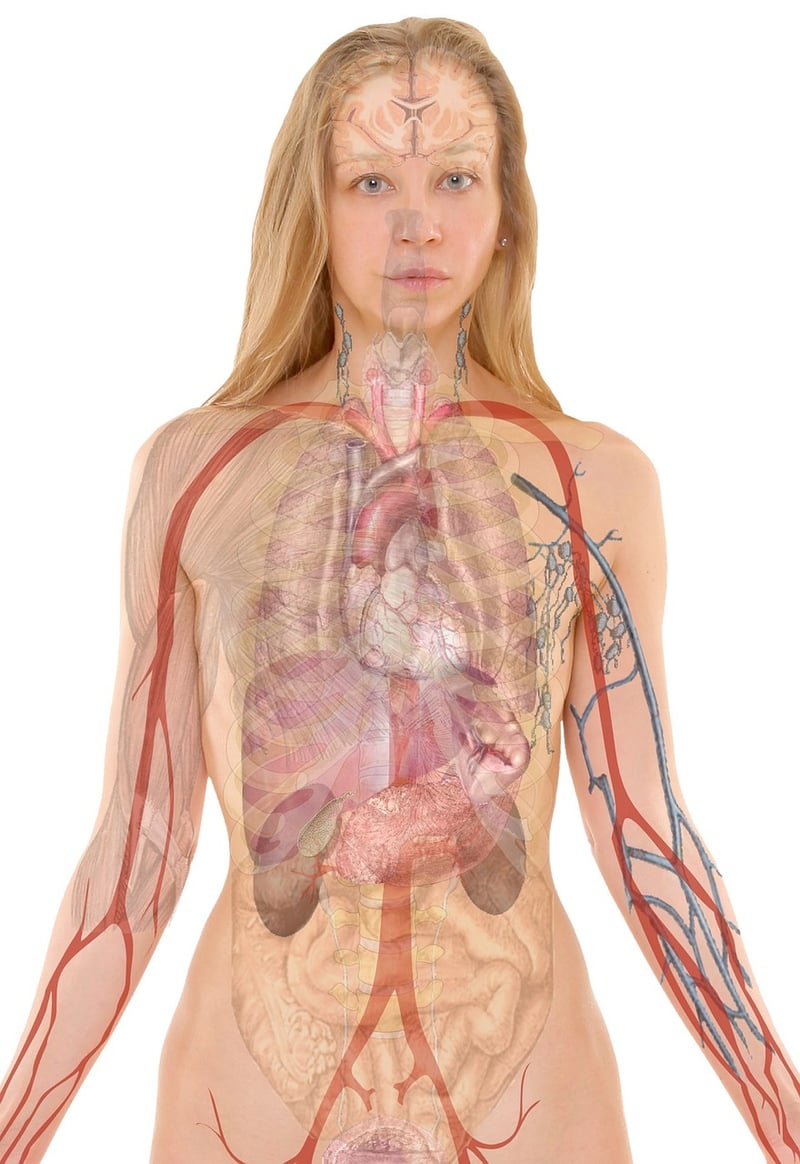 Breath Exercise
